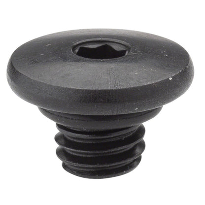 Shimano Hydraulic Brake Lever - Bleed Screw & O-Ring - XT BL-M785  [MPN: Y8VC98010]_1271891
