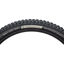 Teravail Warwick Tire - 29 x 2.5, Black, Light and Supple, Fast Compound [MPN: 19-000335]_1276635