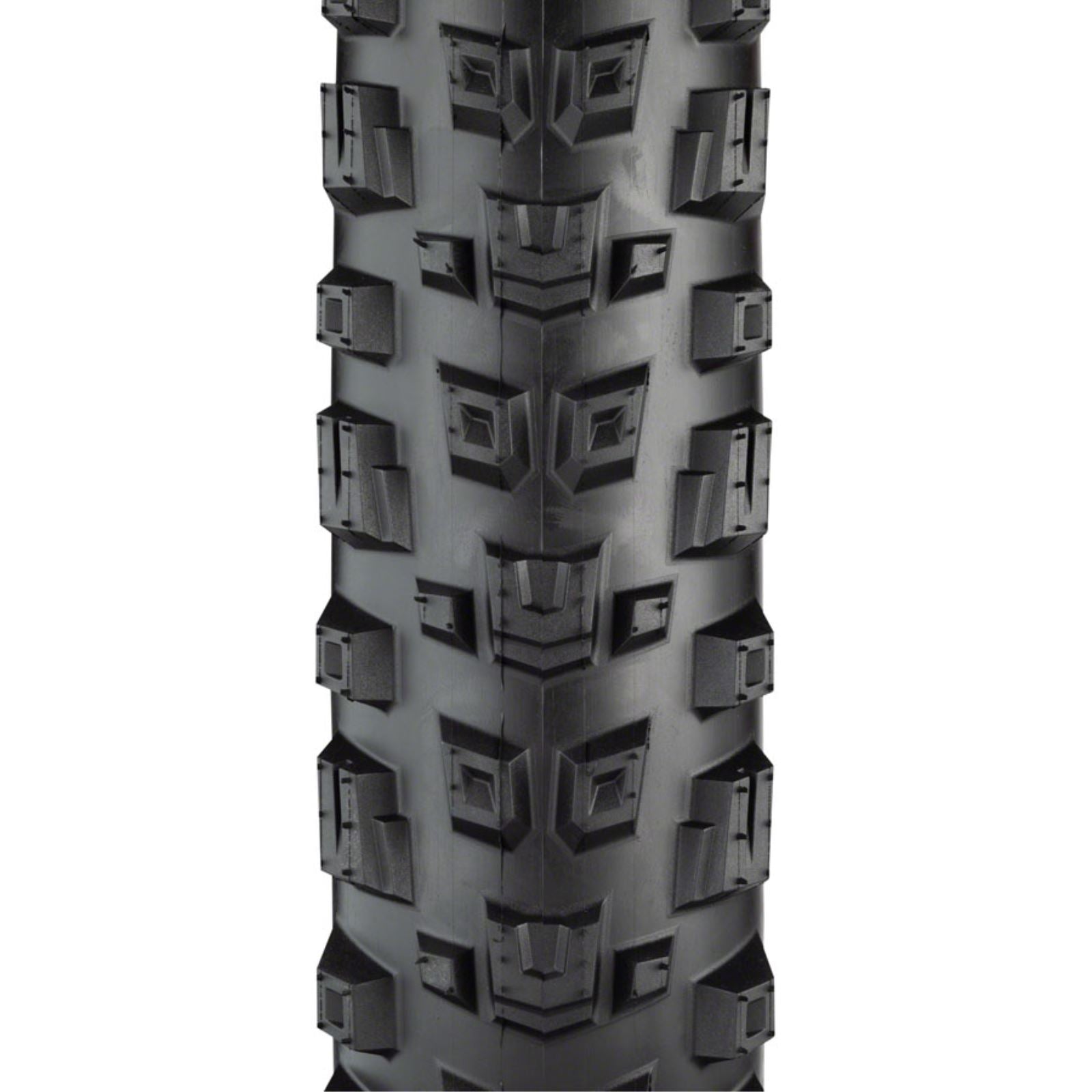 Teravail Warwick Tire - 29 x 2.5, Black, Light and Supple, Fast Compound [MPN: 19-000335]_1276636