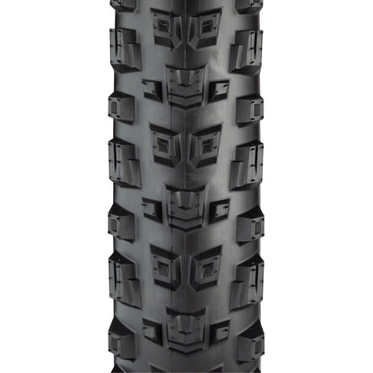 Teravail Warwick Tire - 29 x 2.5, Black, Light and Supple, Fast Compound [MPN: 19-000335]_1276636