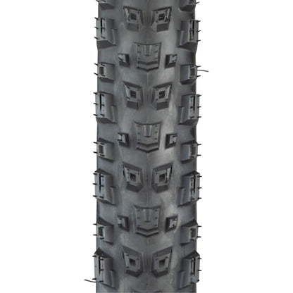 Teravail Warwick Tire - 29 x 2.3, Tan, Light and Supple, Fast Compound [MPN: 19-000334]_1276645