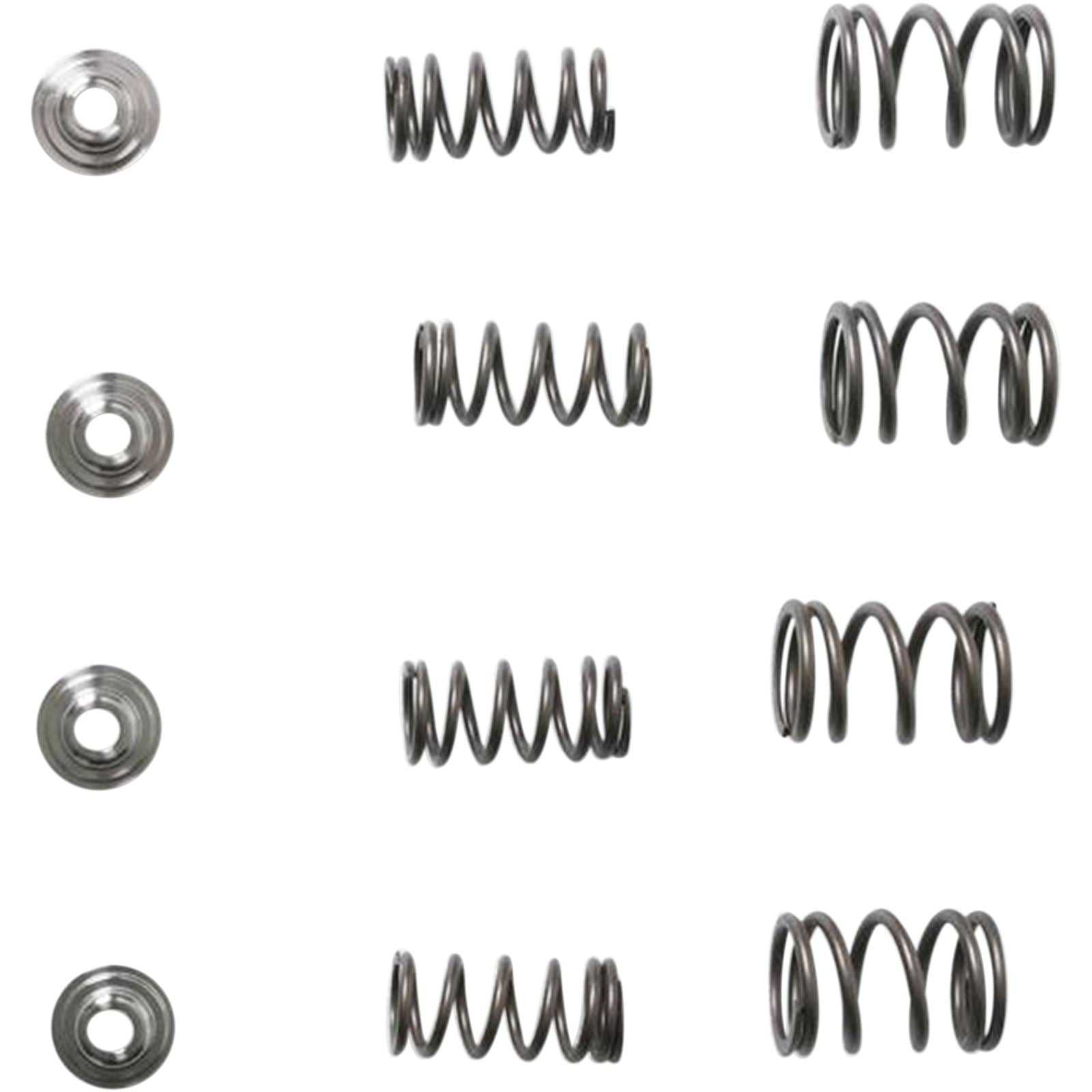 KPMI Racing Valve Spring Kit [MPN: 30-3111]_407652