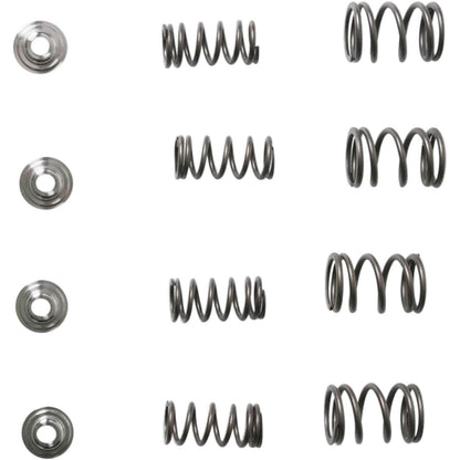 KPMI Racing Valve Spring Kit [MPN: 30-3111]_407652