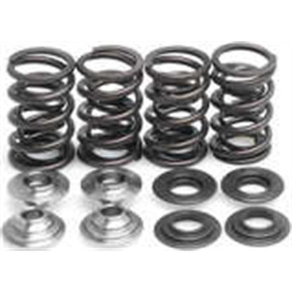 KPMI Racing Valve Spring Kit [MPN: 40-40148]_203905