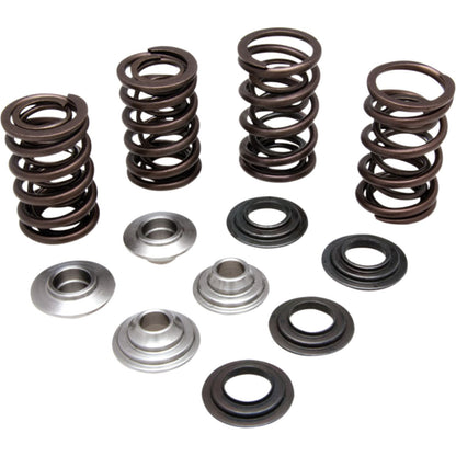 KPMI Racing Valve Spring Kit [MPN: 60-60280]_406826