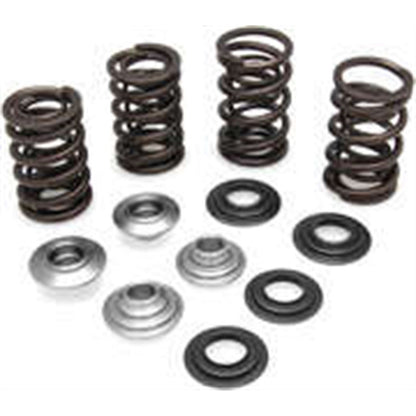 KPMI Racing Valve Spring Kit [MPN: 60-60280]_203913