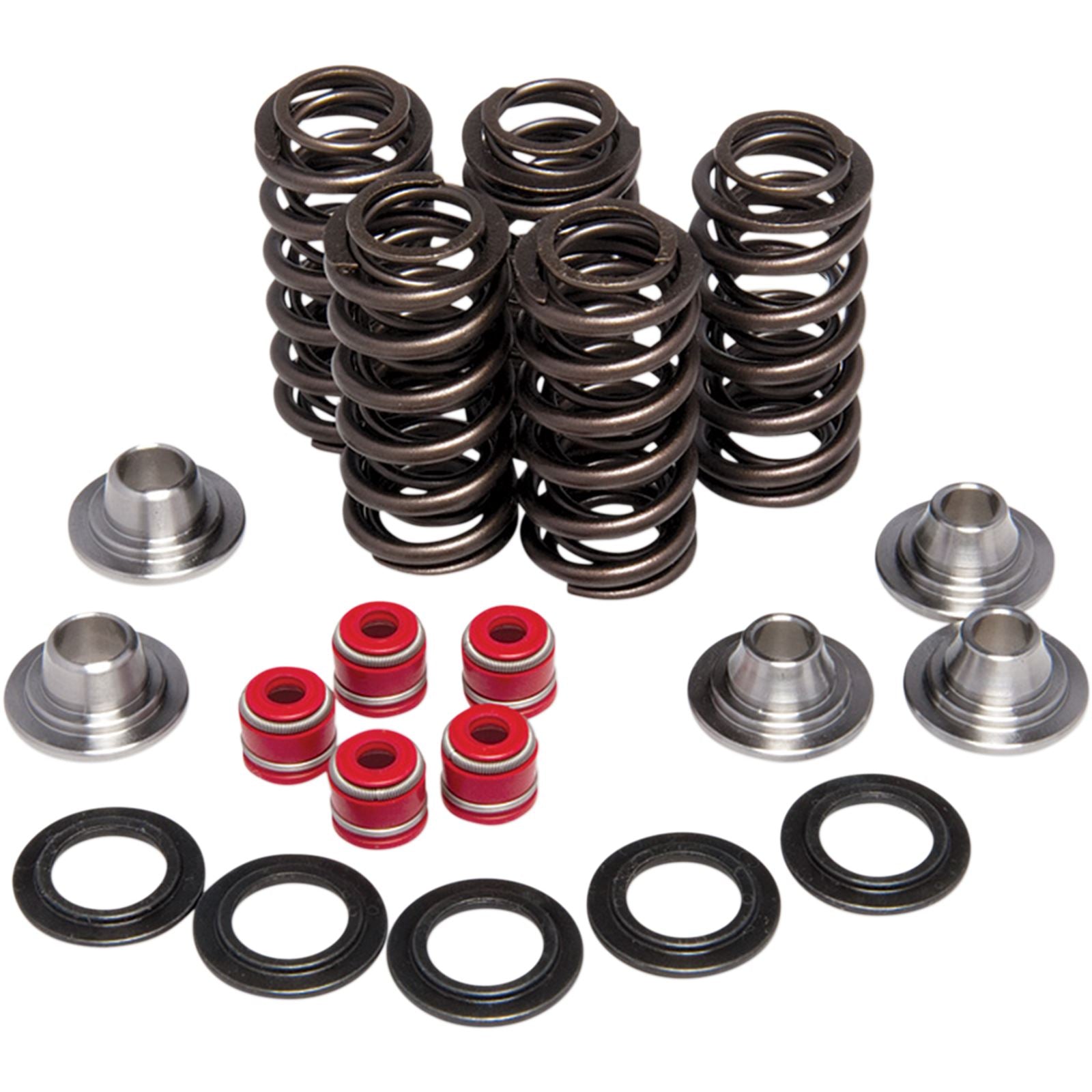 KPMI Racing Valve Spring Kit [MPN: 80-80206]_406780