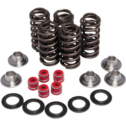 KPMI Racing Valve Spring Kit [MPN: 80-80206]_406780