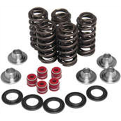 KPMI Racing Valve Spring Kit [MPN: 80-80206]_203915