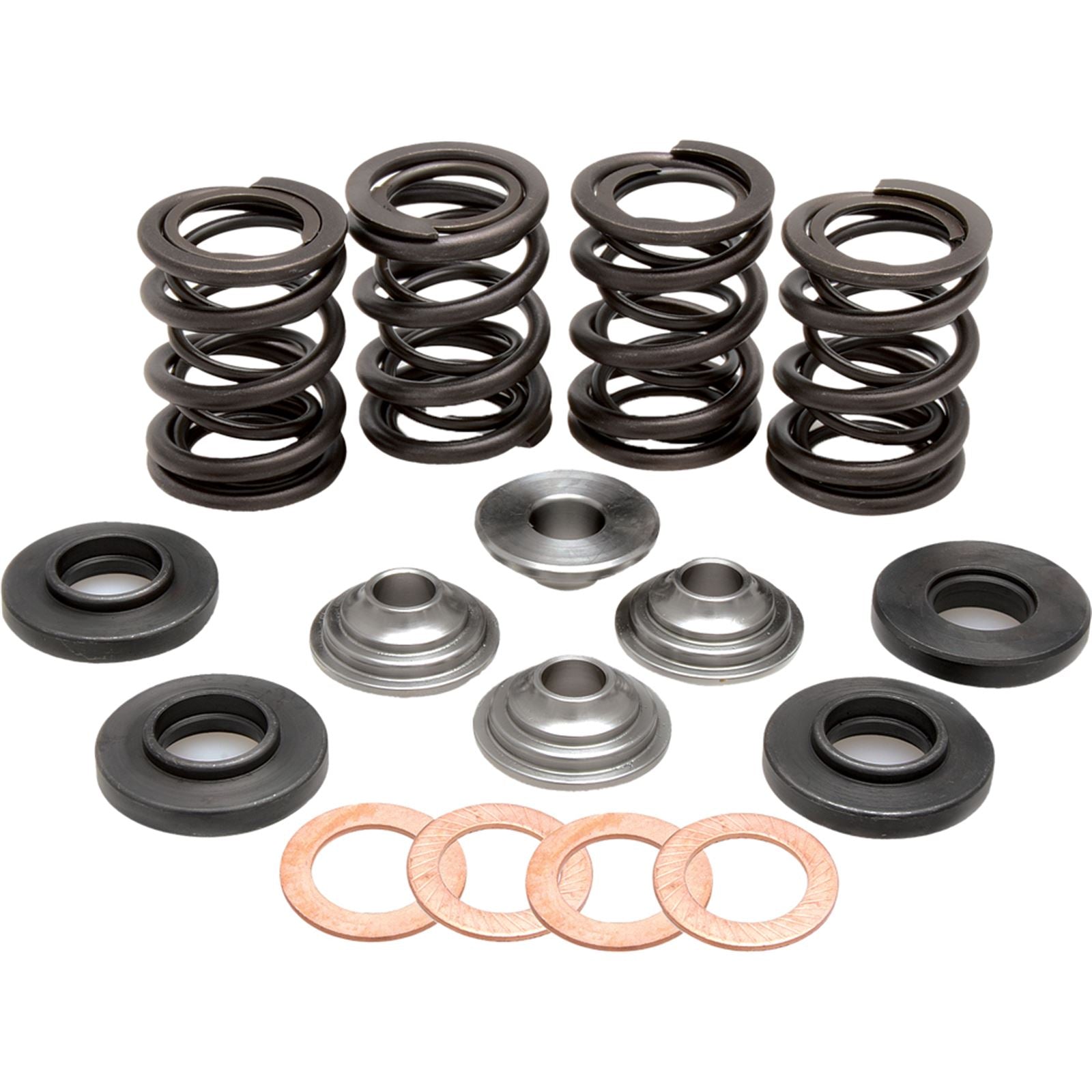 KPMI Racing Valve Spring Kit [MPN: 96-96000]_203916
