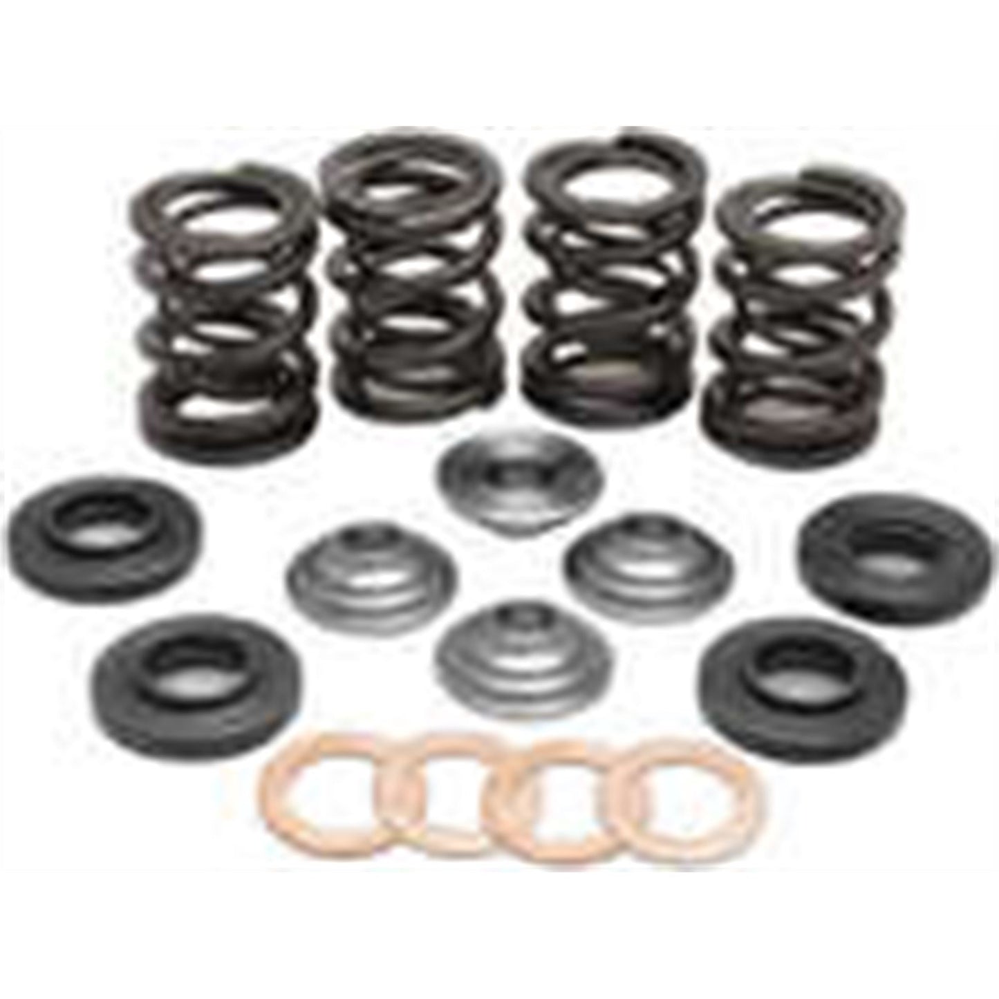 KPMI Racing Valve Spring Kit [MPN: 96-96000]_203917