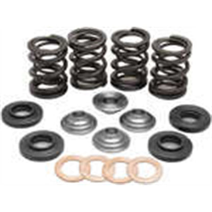 KPMI Racing Valve Spring Kit [MPN: 96-96000]_203917