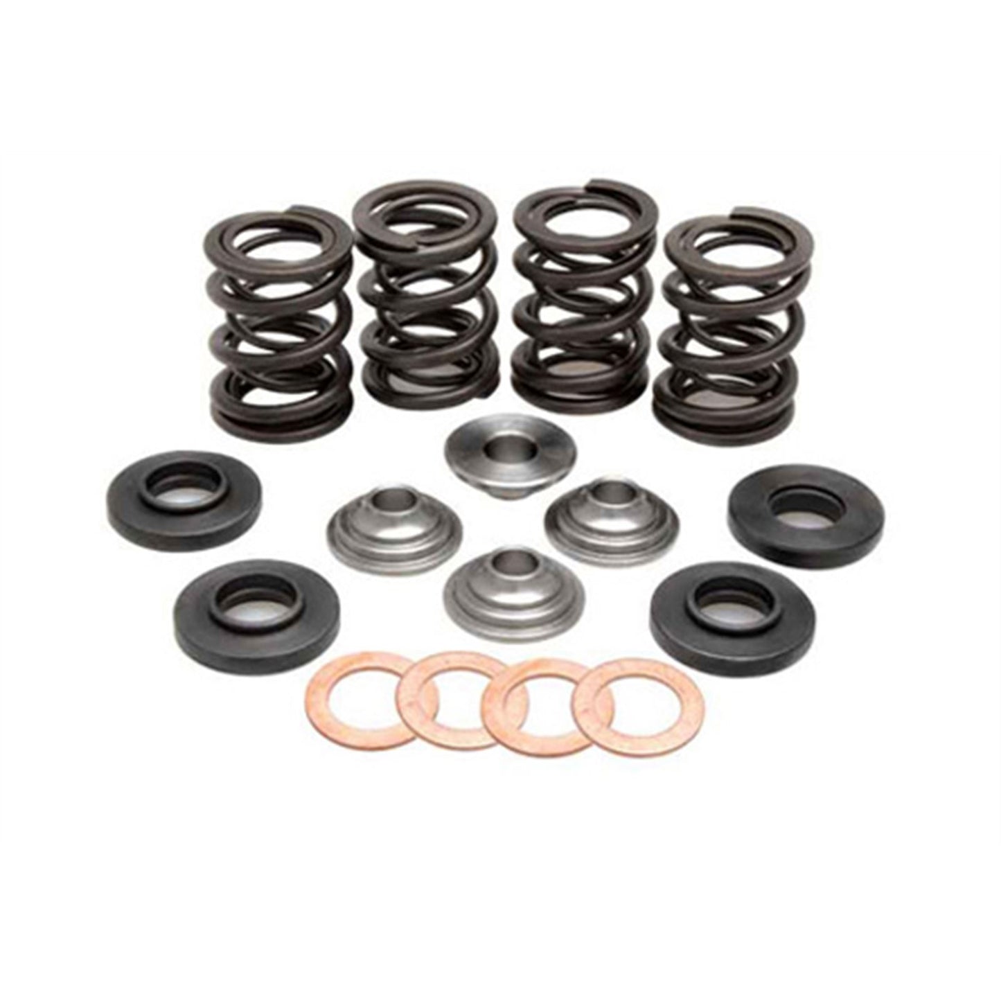 KPMI Racing Valve Spring Kit [MPN: 96-96000]_593248