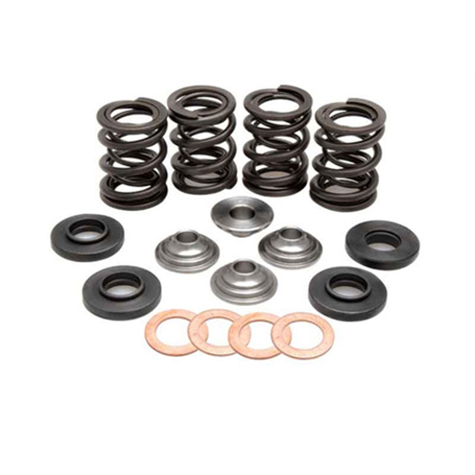 KPMI Racing Valve Spring Kit [MPN: 96-96000]_593248