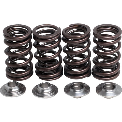 KPMI Racing Valve Spring Kit [MPN: 82-82012]_1511649