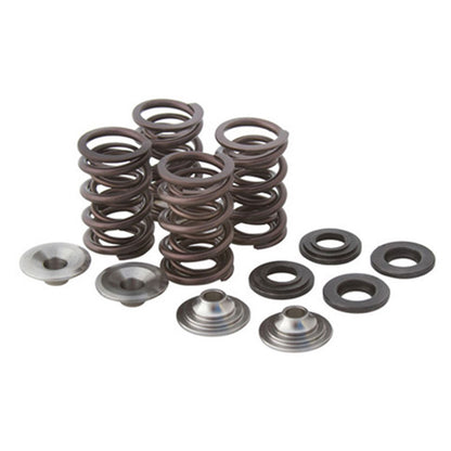 KPMI Racing Valve Spring Kit [MPN: 82-82060]_593251