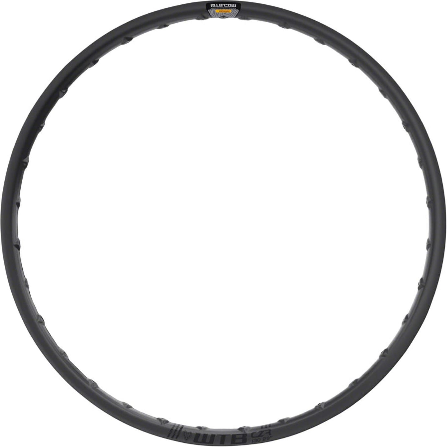 WTB CZR i30 Rim - 29", TCS Tubeless, Disc, Black, 28H [MPN: W020-0607]_1291994