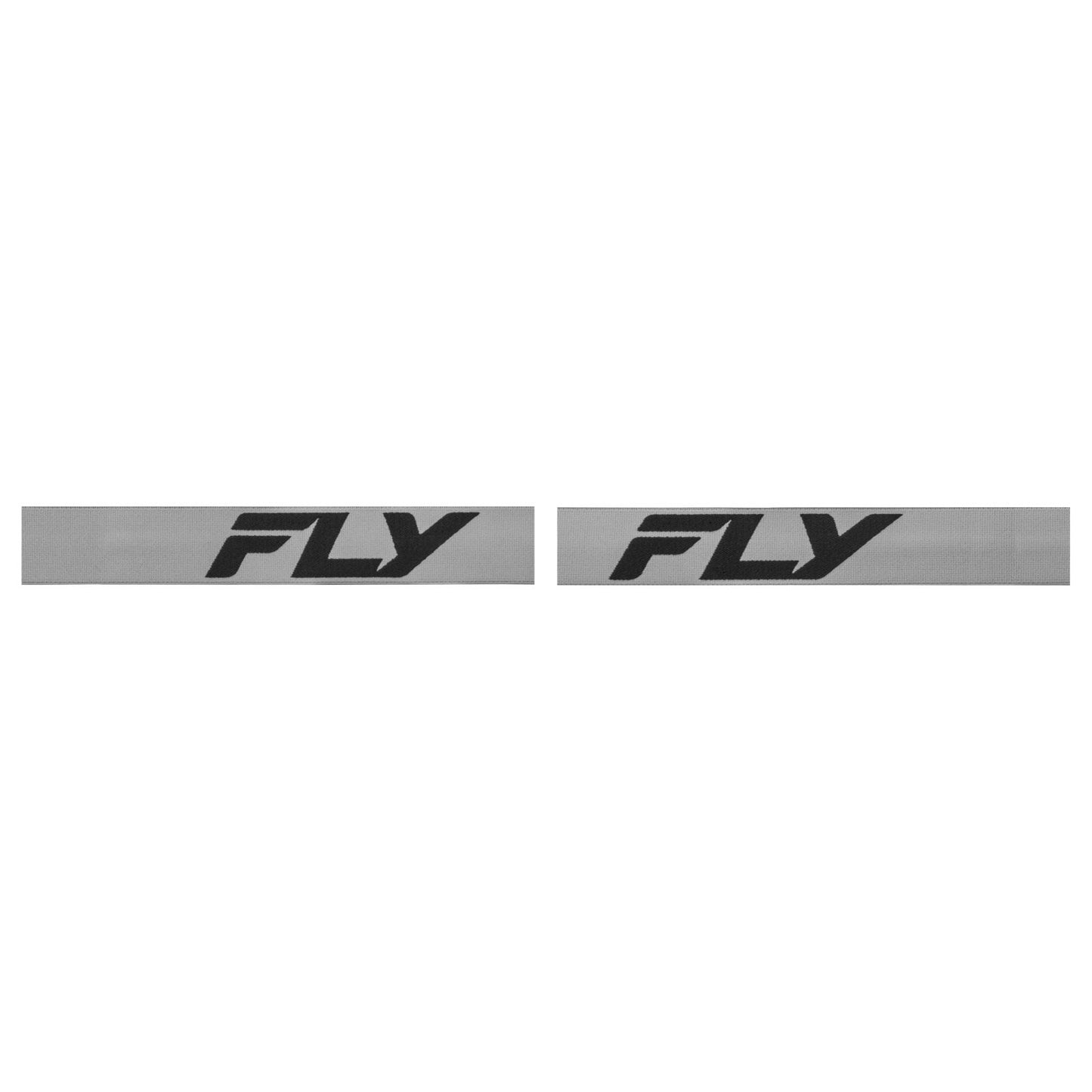 Fly Racing Focus Snow Goggles - Silver/Char with Silver Mirror/Smoke Lens FLB-24F2_1308860