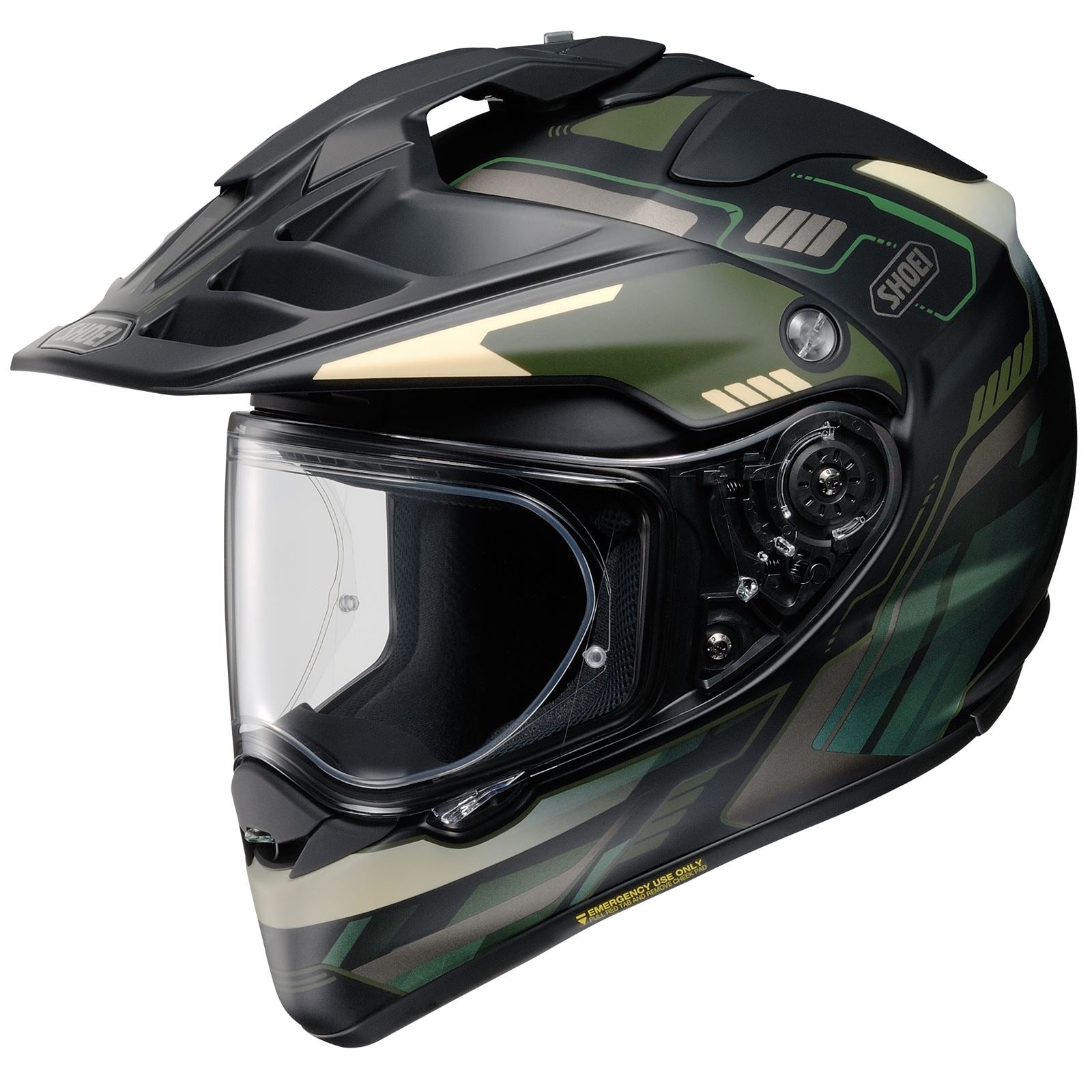 Shoei Hornet X2 Invigorate Helmet_1382187