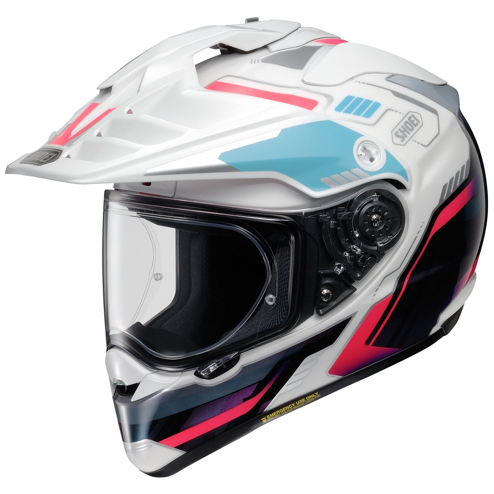Shoei Hornet X2 Invigorate Helmet_1382182
