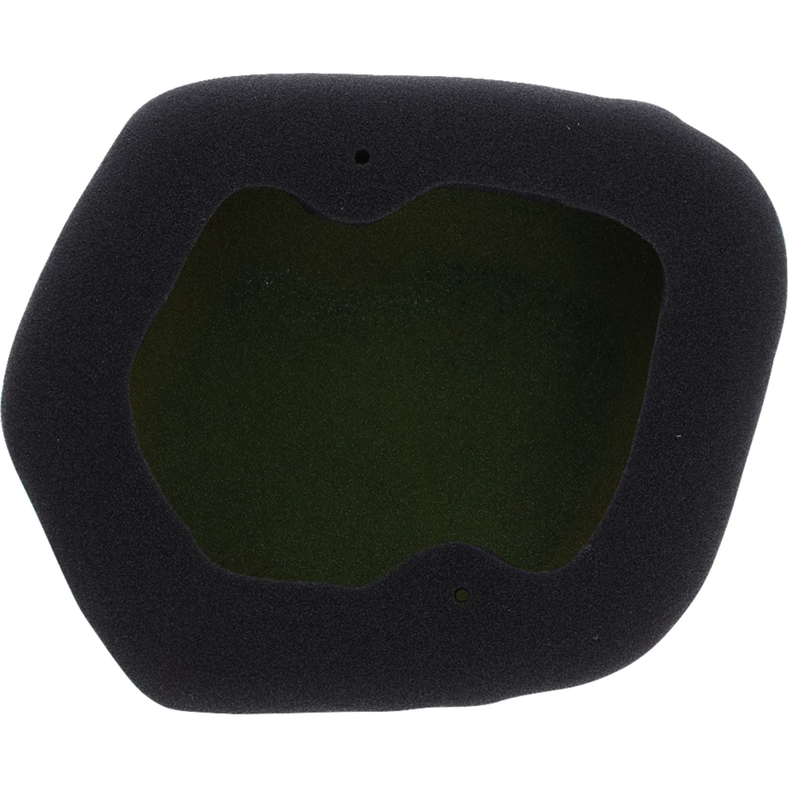 Twin Air Replacement Pre-Oiled Air Filter for Powerflowf Kit 154225X_1388683