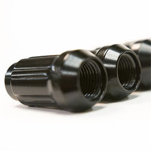 Falcon Ridge Lug Nut - 16 Pack Splined w/Key -FR - Black - 3/8-24" 80-10133_1732322