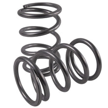 High Lifter Rear Tender Springs for Polaris RZR Turbo SPR-X-P6R-S_1735378