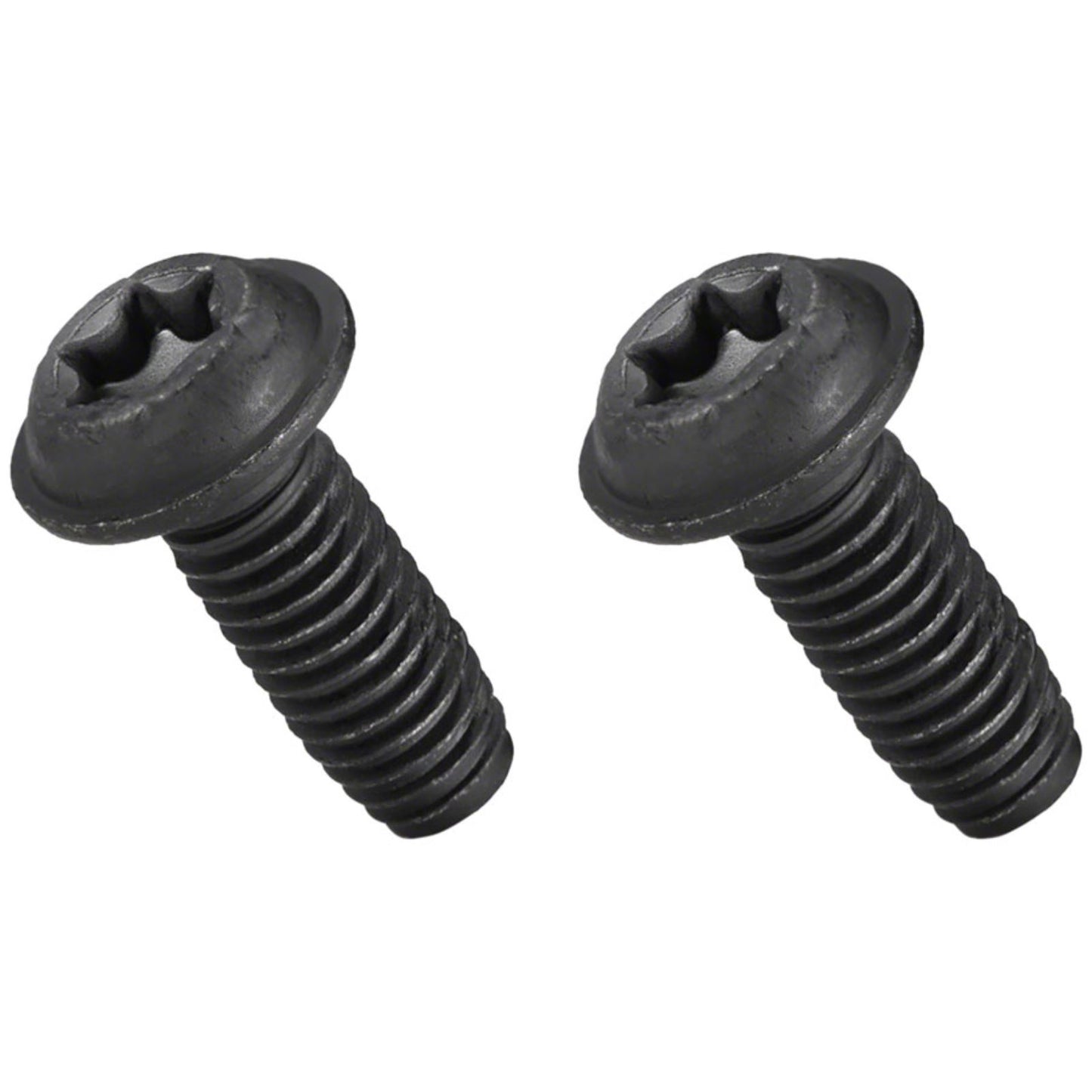 Bosch Mounting Plate Screw Set - 2x Screws M6x16, Torx T30 [MPN: EB11.900.003]_1341757