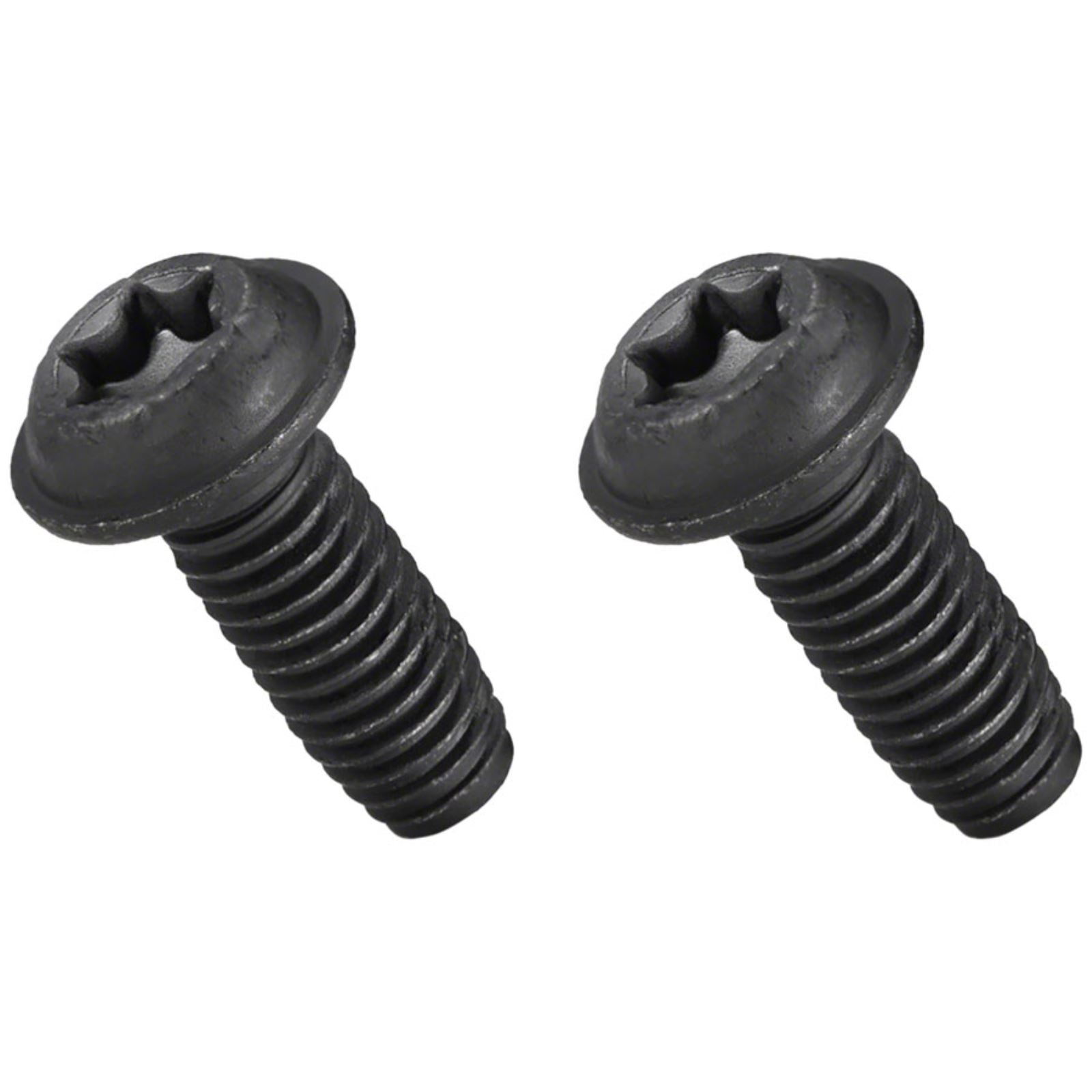 Bosch Mounting Plate Screw Set - 2x Screws M6x16, Torx T30 [MPN: EB11.900.003]_1341757