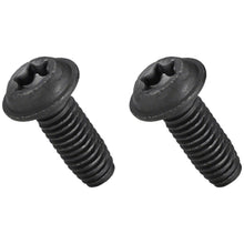 Bosch Mounting Plate Screw Set - 2x Screws M6x16, Torx T30 [MPN: EB11.900.003]_1341757