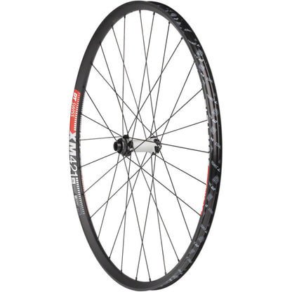DT Swiss 350/XM421 Front Wheel - 29", 15 x 110mm, Center Lock, Black [MPN: WEXDMMYADQXX01XXXX]_1355606