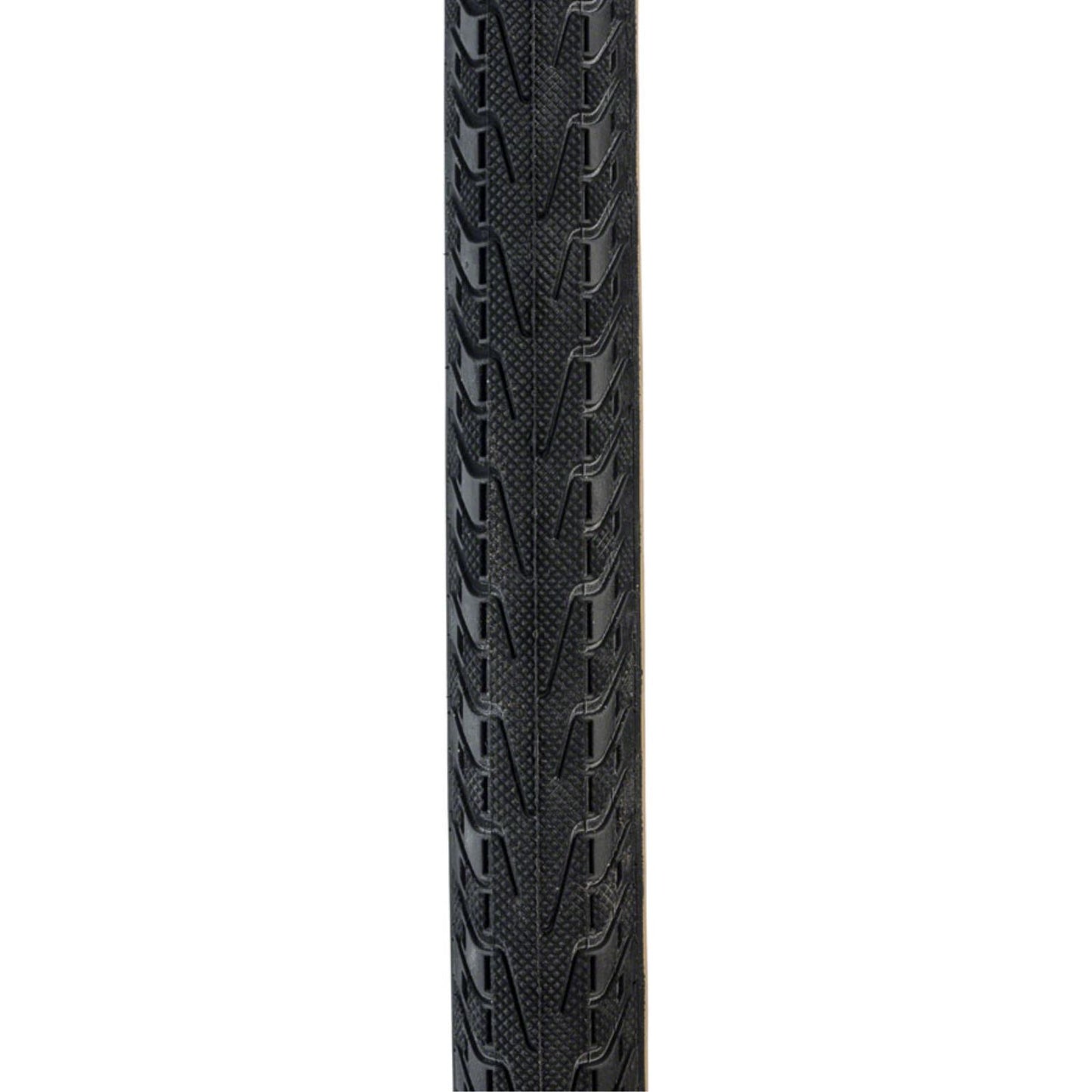 Panaracer Pasela Tire - 27 x 1, Clincher, Wire, Black/Tan, 60tpi [MPN: AW271-LX-18]_1436400