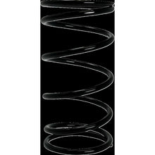 Moose Offroad Primary Clutch Spring - Black - Rate 58/120 100-1114-PU_1415567