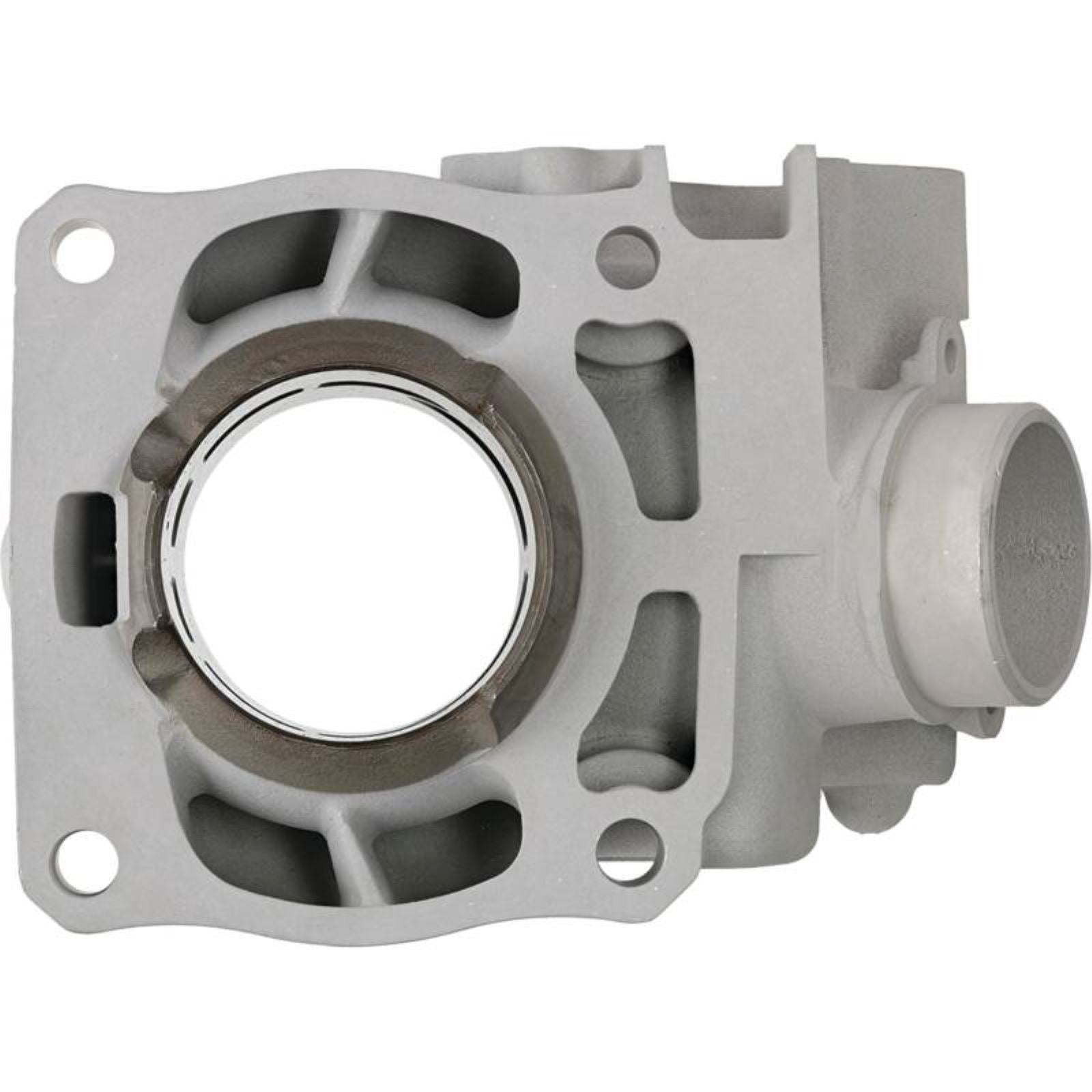 Cylinder Works Standard Bore Cylinder Compatible with Yamaha [MPN: CW20011]_1617525