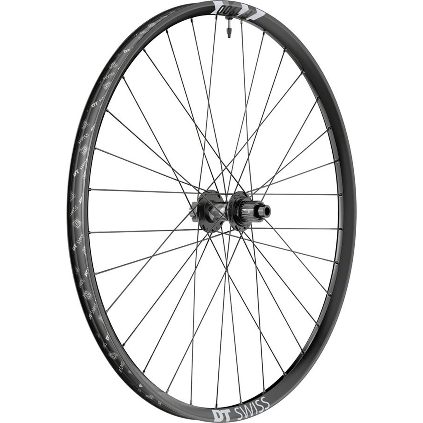 DT Swiss F 1900 Classic Rear Wheel - 29", 12 x 148mm, 6-Bolt, Black [MPN: W0F1900TFD2SA21559]_1933801