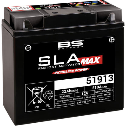 BS Battery Battery - 12V 12V - 22ah - 51913 [MPN: 300860]_1476173