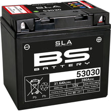 BS Battery Battery - 12V - 30ah - 53030 [MPN: 300880]_1476174