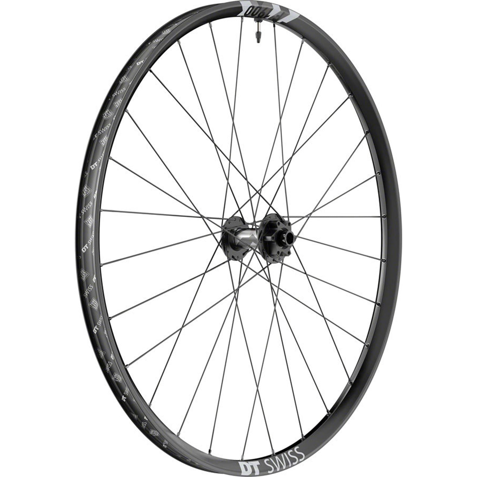 DT Swiss F 1900 Classic Front Wheel - 29", 15 x 110mm, 6-Bolt, Black [MPN: W0F1900BFIXSA21557]_1999292