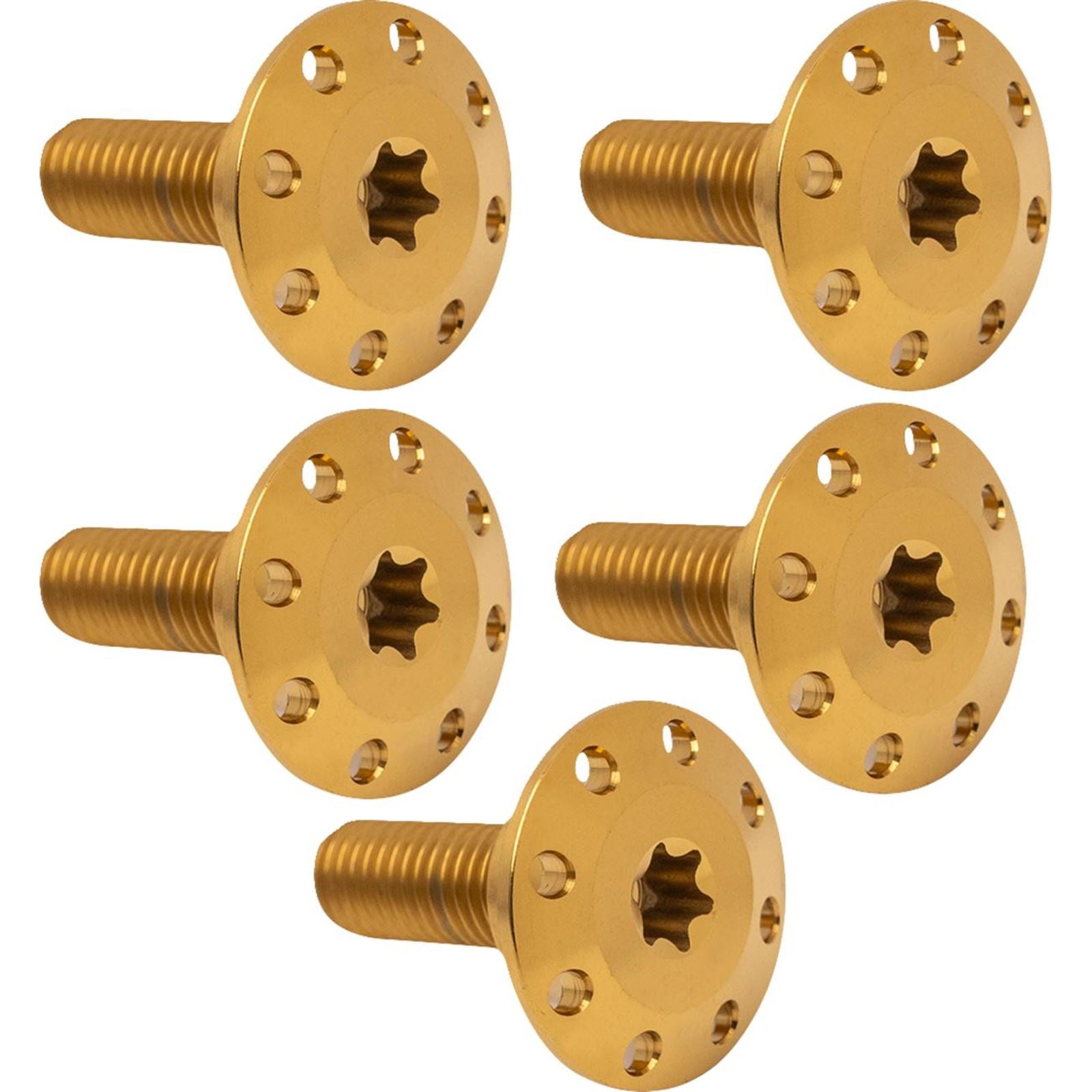 Arlen Ness Bolt Kit - Holeshot/Front/Floating/Brake Rotor Spoke Mount Gold 5 Pack 300-908_1494578