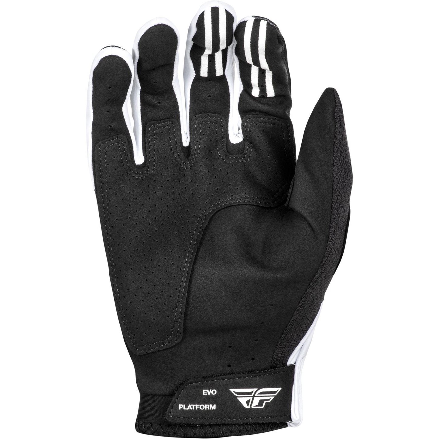 Fly Racing Evolution DST Gloves_1495387