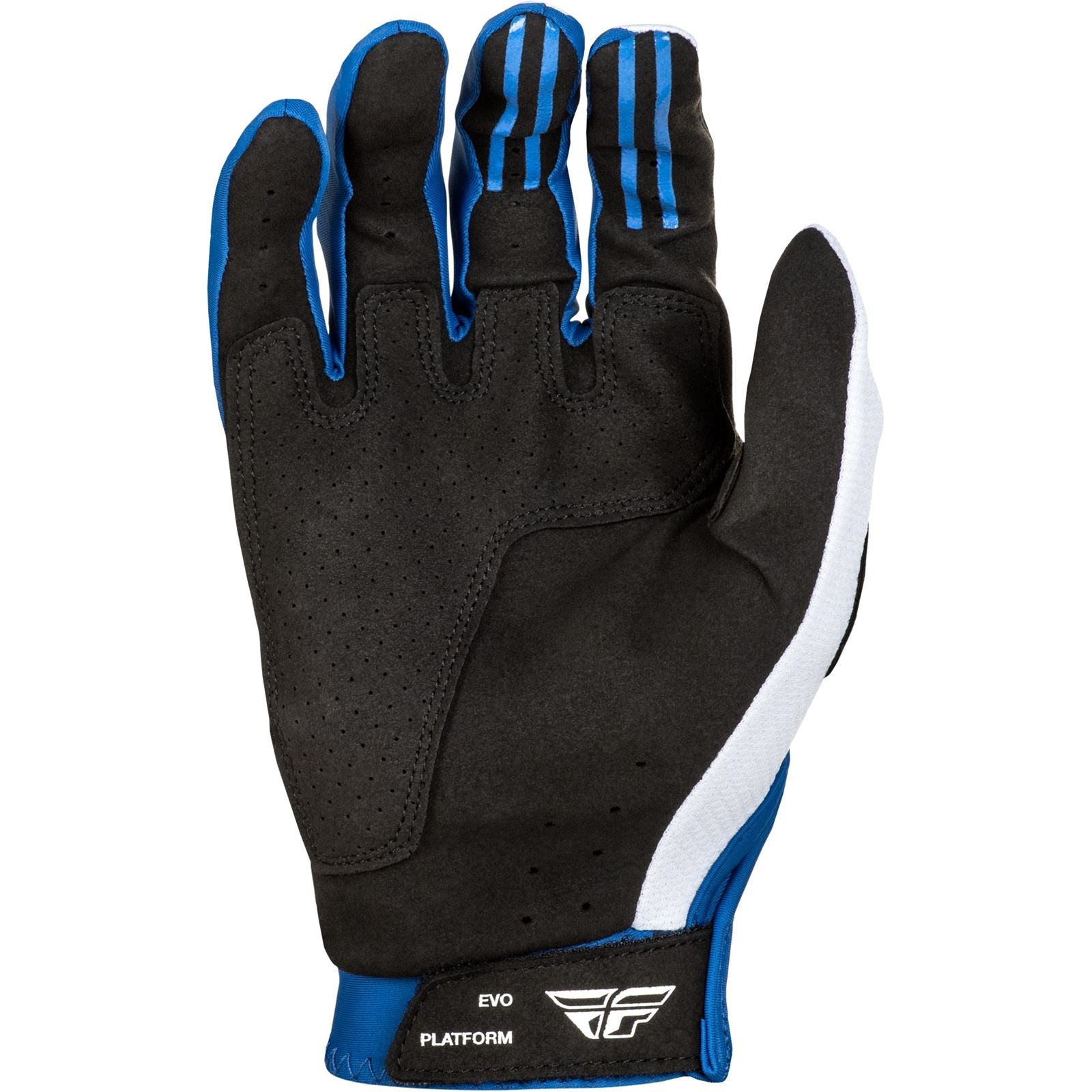 Fly Racing Evolution DST Gloves_1495435