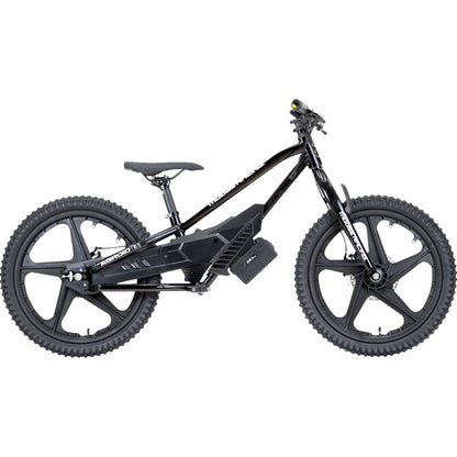 Moose Offroad RS-20 E-Bike - Agroid - Balance X02-A0101S_1500859