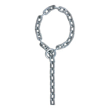 ABUS Kette 9KS + LOOP  Chain Lock - 9mm - Black - 250cm [MPN: 45579]_1501266