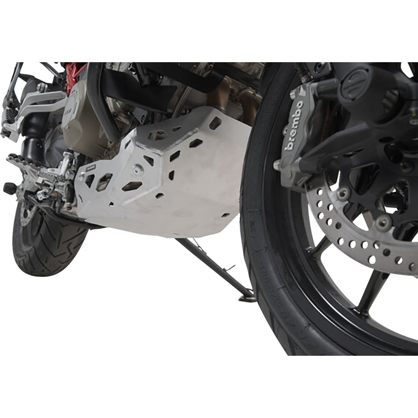 SW-Motech Engine Guard - Silver for Ducati Multistrada V4 [MPN: MSS.22.822.10000/S]_1502993