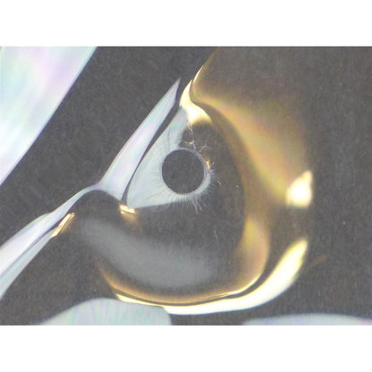 National Cycle VStream Windscreen - 16.38" - Clear OPEN BOX N20415_1526263