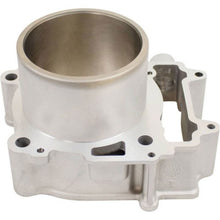 Cylinder Works Standard Bore Cylinder Compatible with ACE 570/570 HD/Ranger 570 4x4 Crew  [MPN: 60005]_1538063