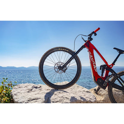 Galfer Floating Wave Disc Brake Rotor - 203mm x 2.0mm - 6-Bolt-  Red DB014FLWR_1534434