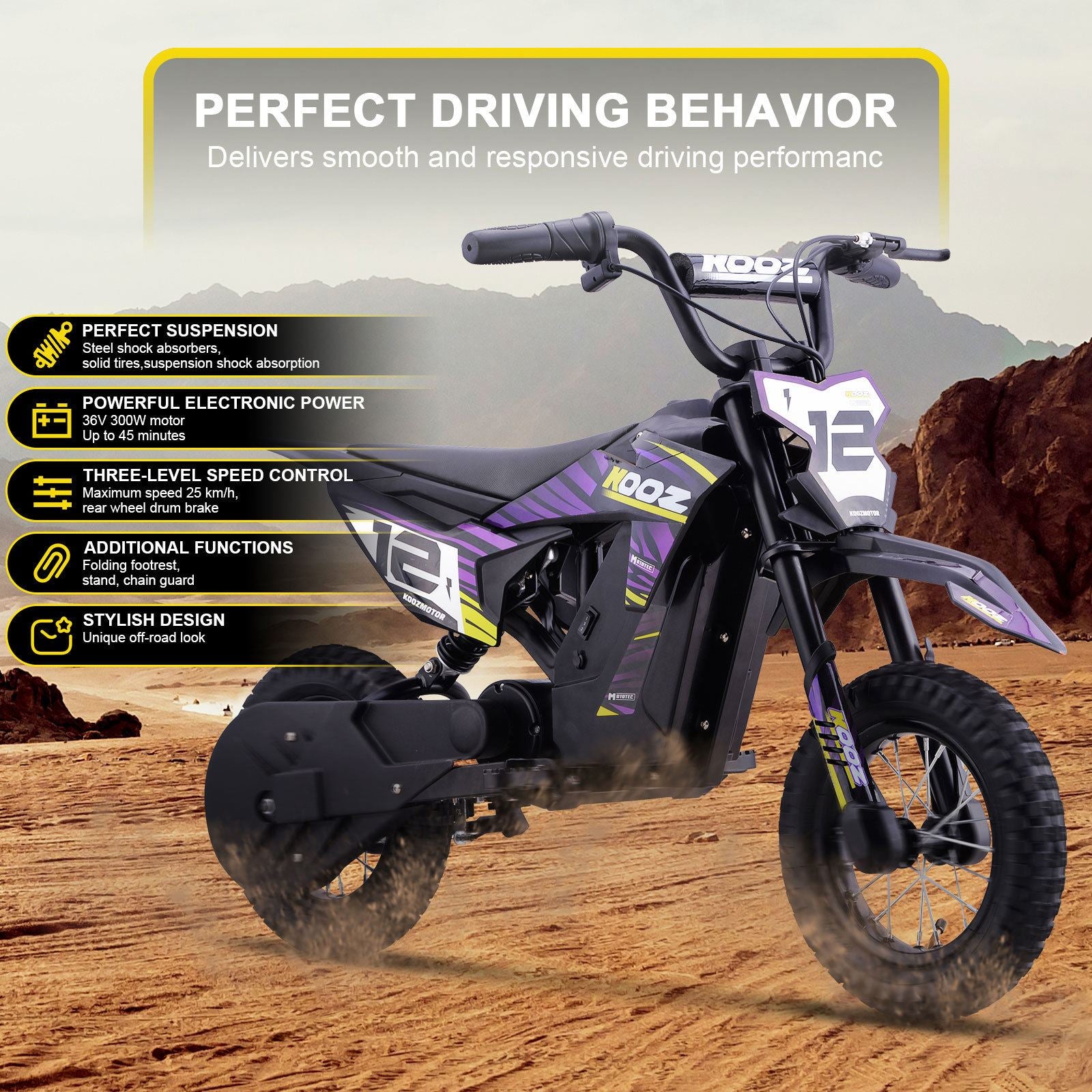 MotoTec USA 36v 300w (HP122E) Electric Dirt Bike - Purple [MPN: Dirt-Bike-36v-300w-HP122E_Purple]_1540557