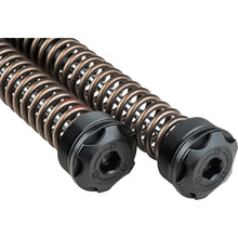 Harddrive Scepter Cartridge Kit - 49MM - Standard Weight for M8 Softail Models R0900109-1_1589068