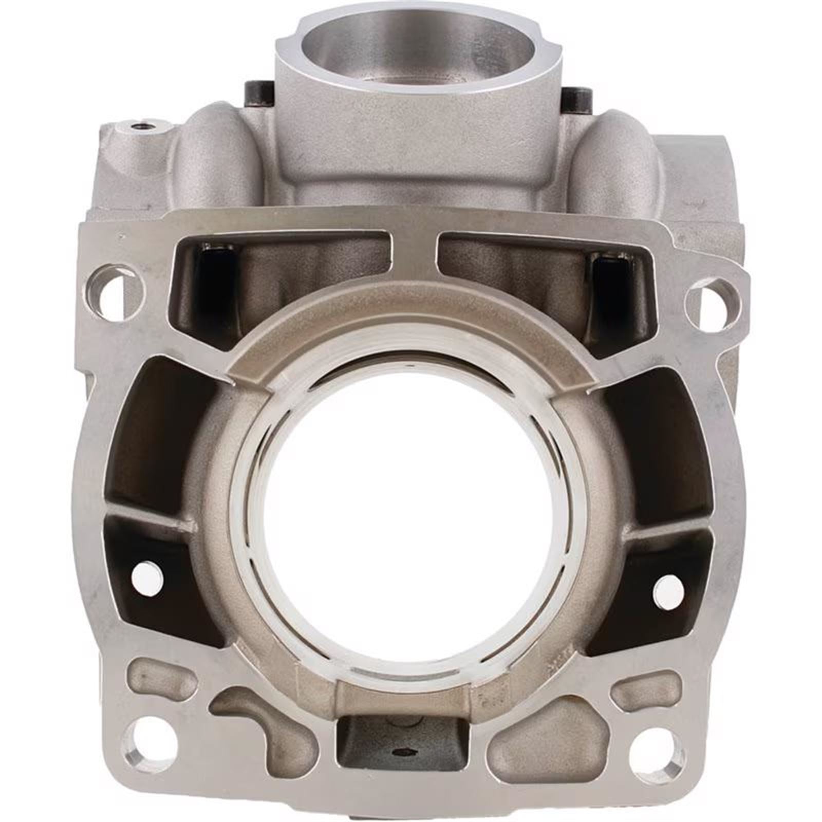 Cylinder Works Standard Bore Cylinder Compatible with 300 EXC TPI/20-22 TX 300 i [MPN: CW50011]_1784473